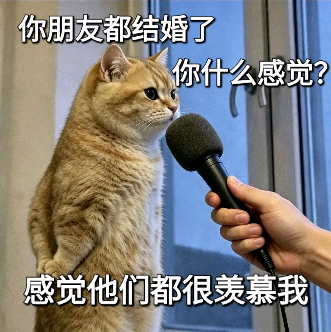 叶子碎碎念 拒绝无效催婚（第 6 张图片）