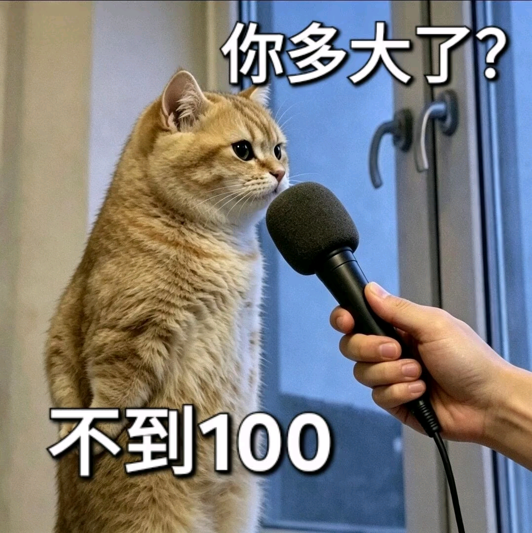叶子碎碎念 拒绝无效催婚（第 4 张图片）