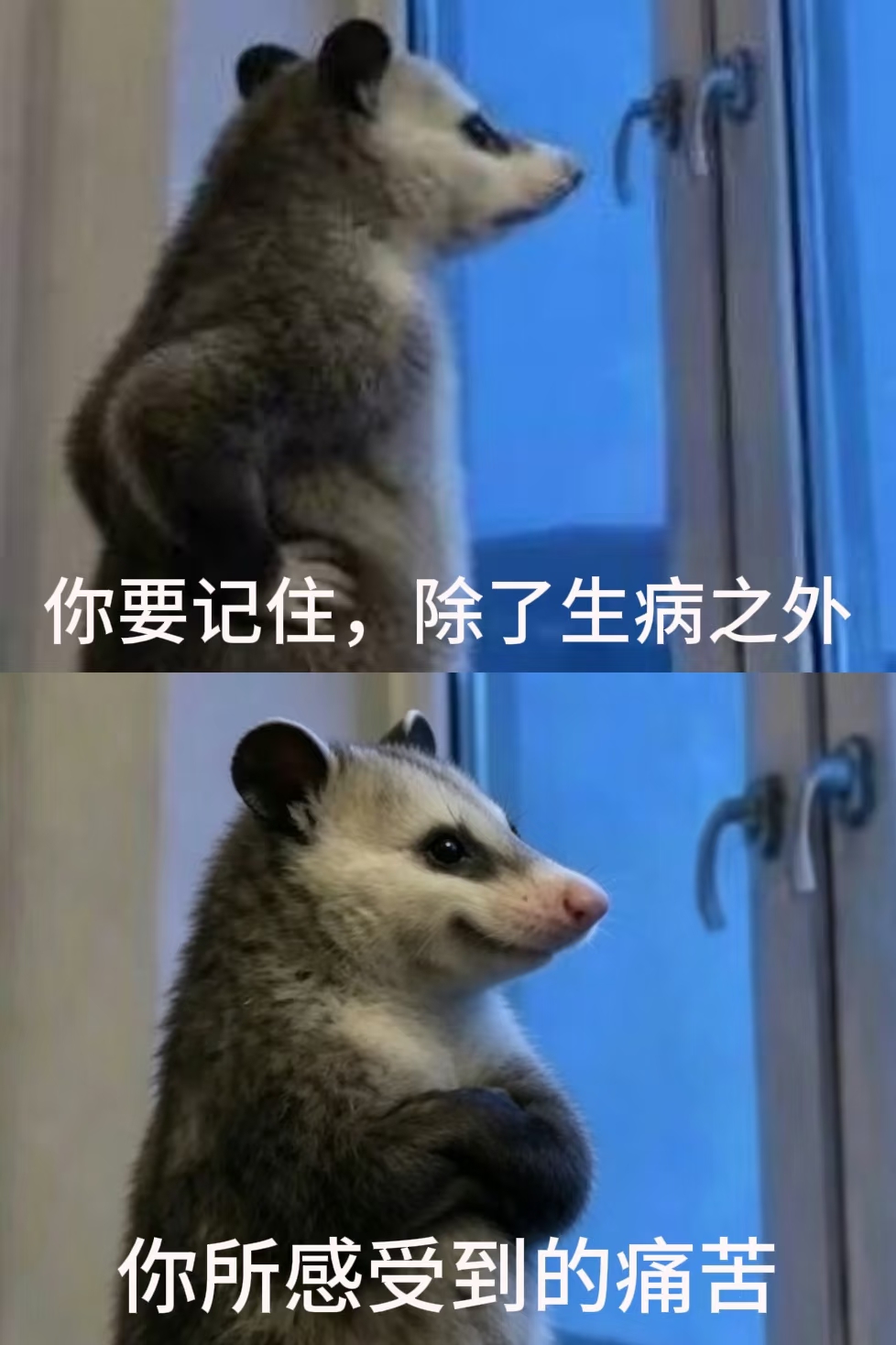拒绝焦虑 叶子碎碎念 人生感悟 哪怕很难受了，咬牙忍忍也就过去了（第 1 张图片）