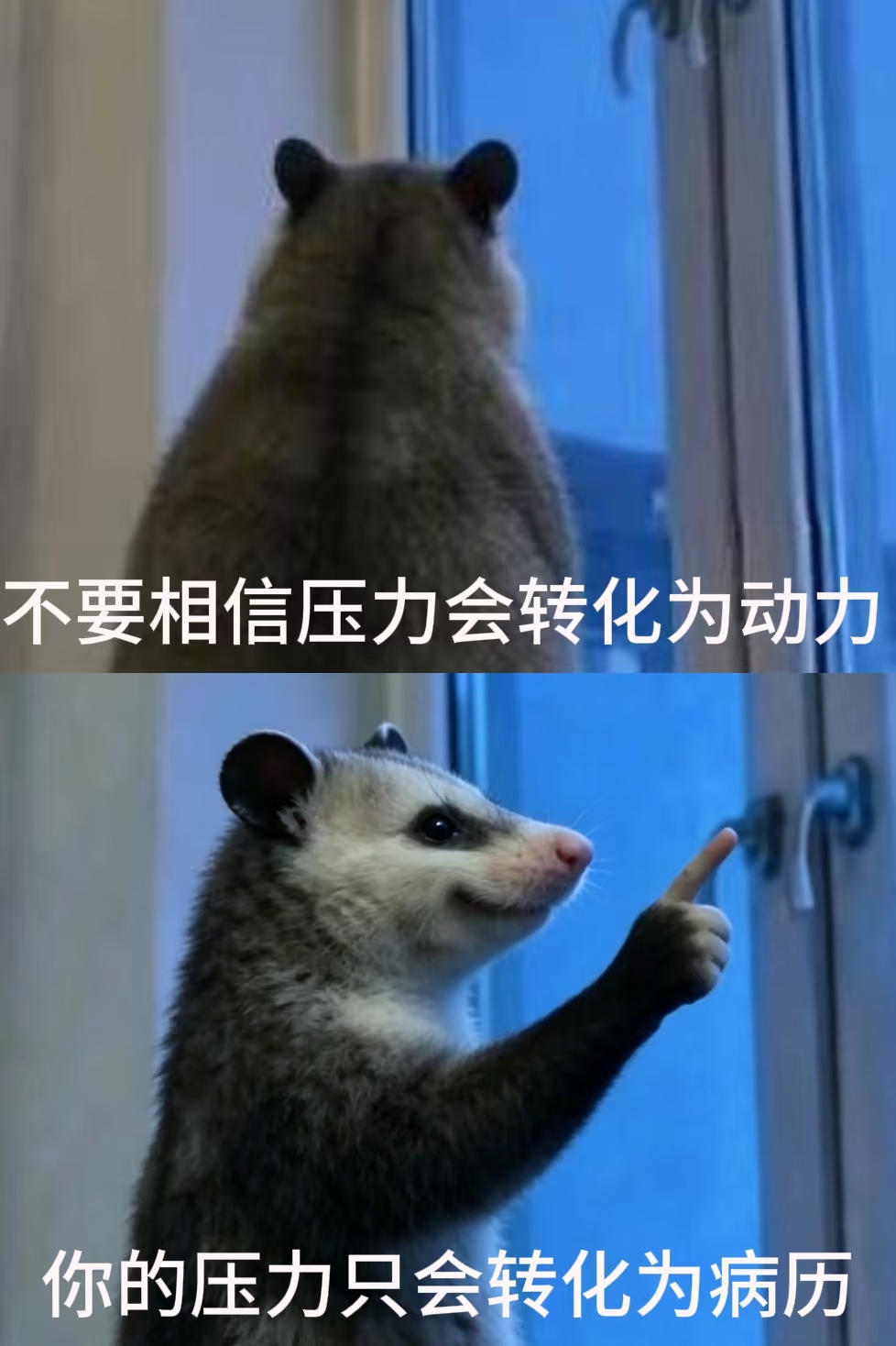 拒绝焦虑 叶子碎碎念 人生感悟 哪怕很难受了，咬牙忍忍也就过去了（第 3 张图片）