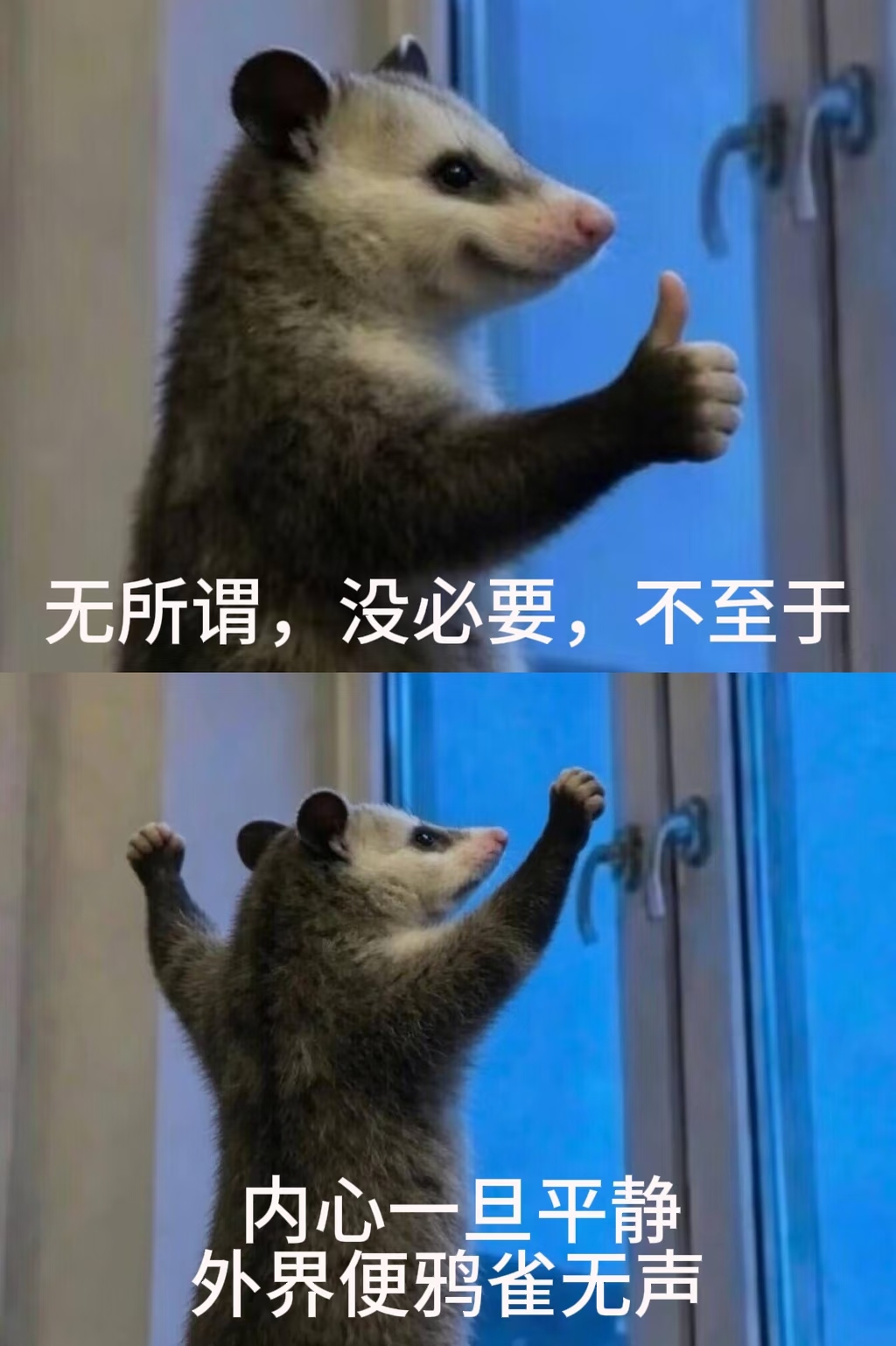 拒绝焦虑 叶子碎碎念 人生感悟 哪怕很难受了，咬牙忍忍也就过去了（第 9 张图片）