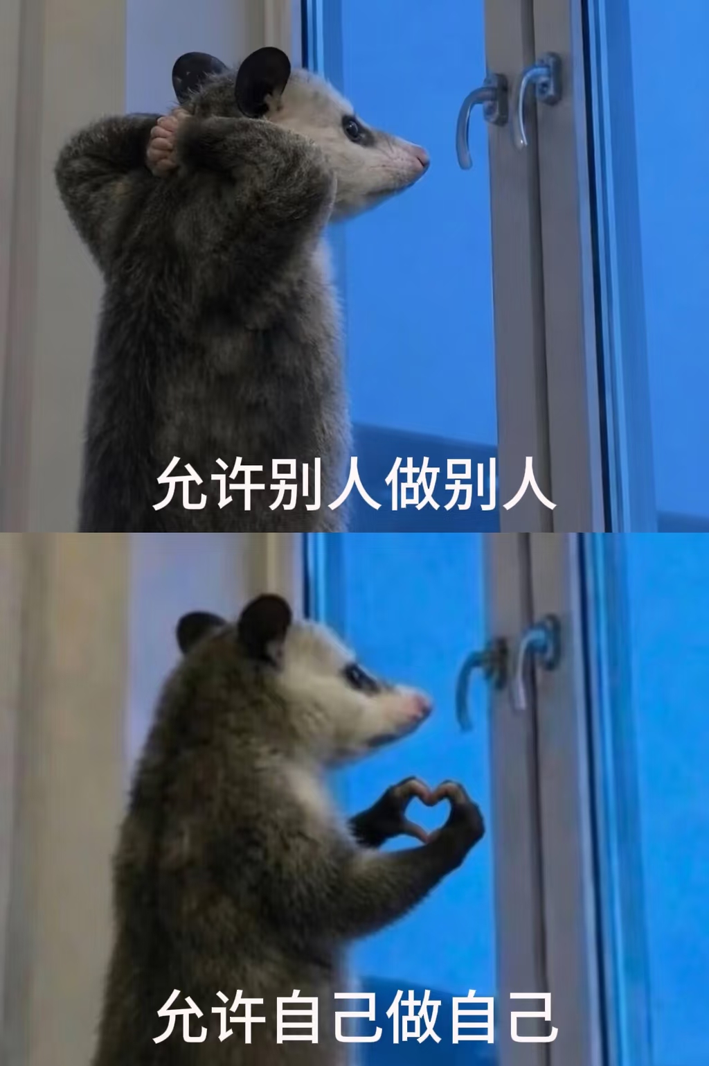 拒绝焦虑 叶子碎碎念 人生感悟 哪怕很难受了，咬牙忍忍也就过去了（第 7 张图片）